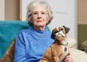 Gogglebox star Mary Cook dies aged 92 Gogglebox star Mary Cook dies aged 92
