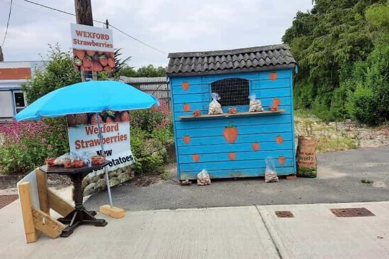 Wexford people rally around 11-year-old boy after strawberry stand robbery Wexford people rally around 11-year-old boy after strawberry stand robbery