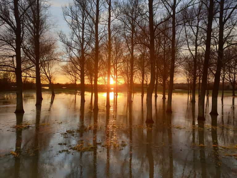 Ireland to become warmer and wetter due to climate change Ireland to become warmer and wetter due to climate change