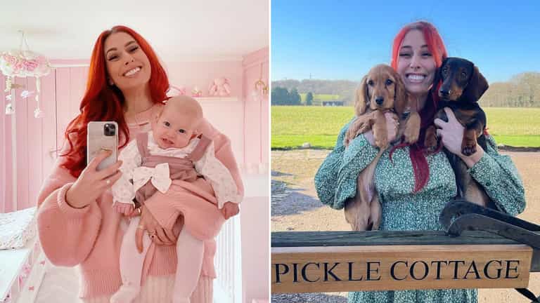 “Welcome home”: Stacey Solomon rescues adorable new dog “Welcome home”: Stacey Solomon rescues adorable new dog