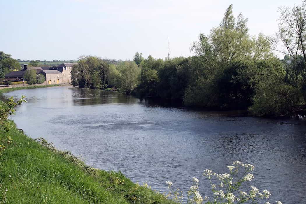 Man (30s) dies after getting into difficulty in River Barrow in Co. Carlow