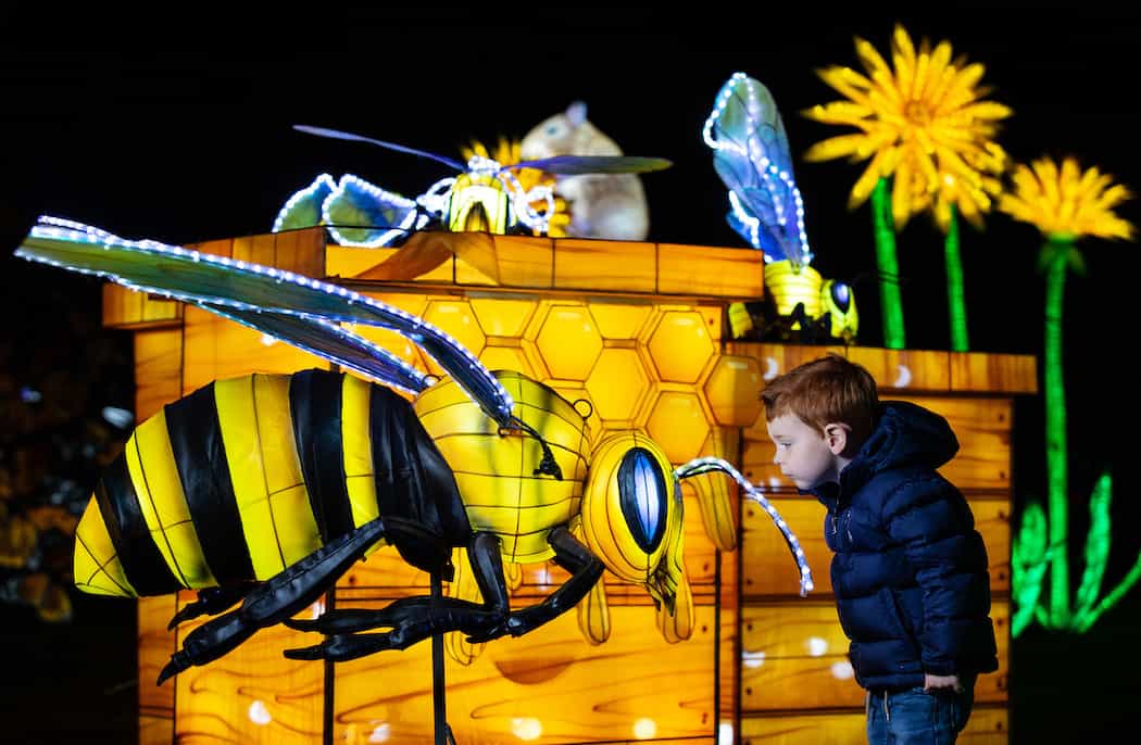 Dublin Zoo reveals the theme for Wild Lights 2022