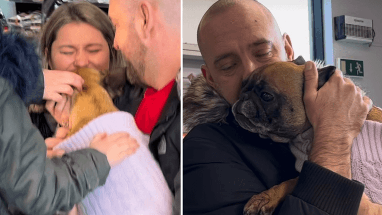WATCH: DSPCA reunites family with stolen dog after two years WATCH: DSPCA reunites family with stolen dog after two years