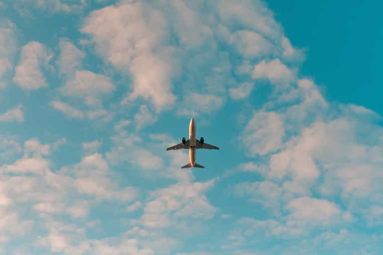 Three children and a baby found alive 17 days after plane crash