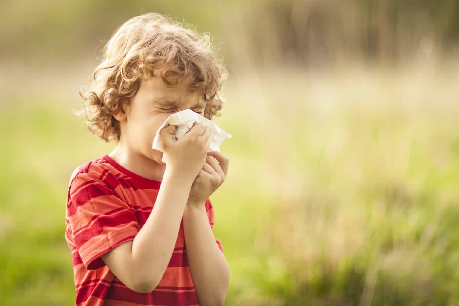 Expert shares hack to trap pollen for hay fever sufferers