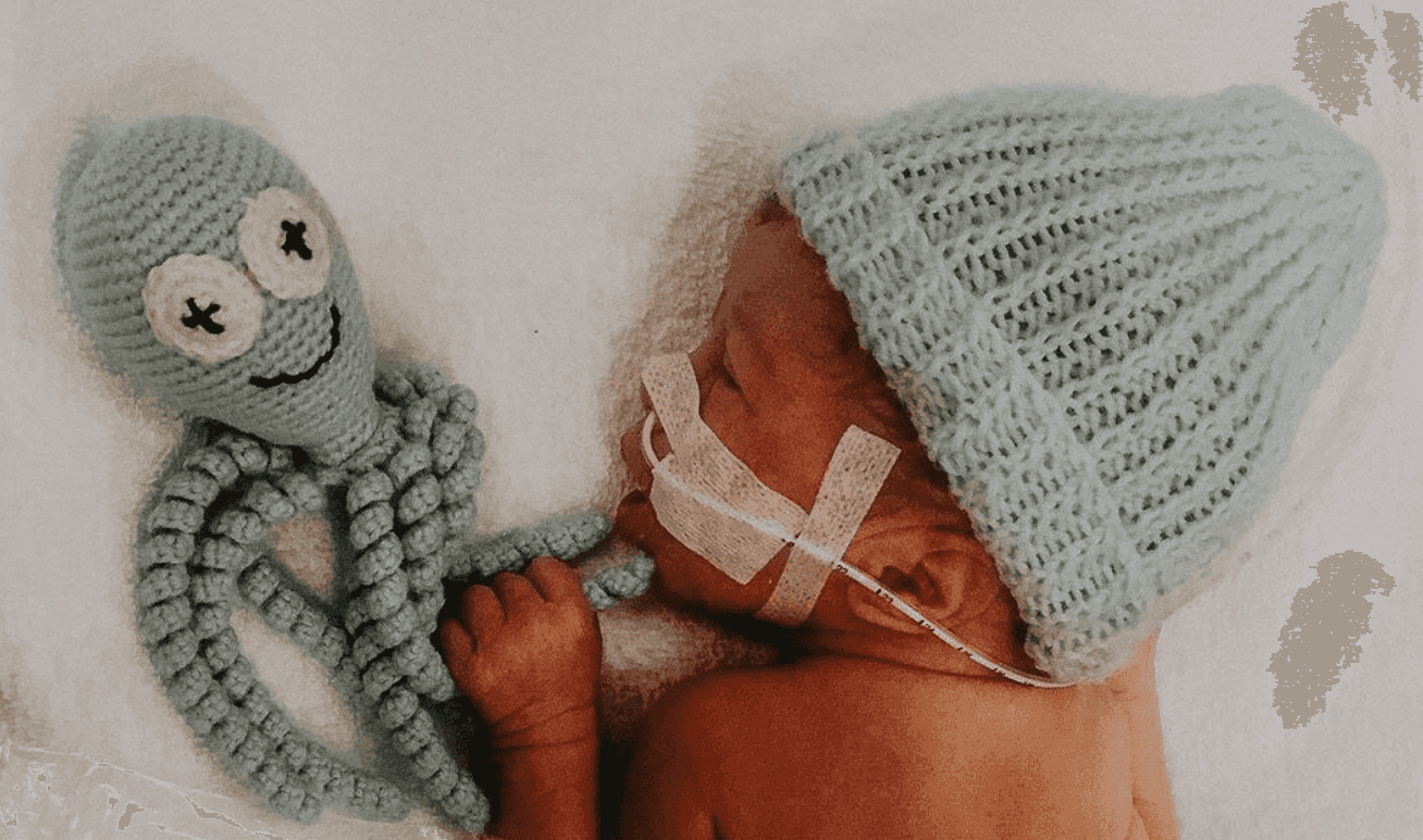 The heartwarming reason why premature babies are given octopus teddies
