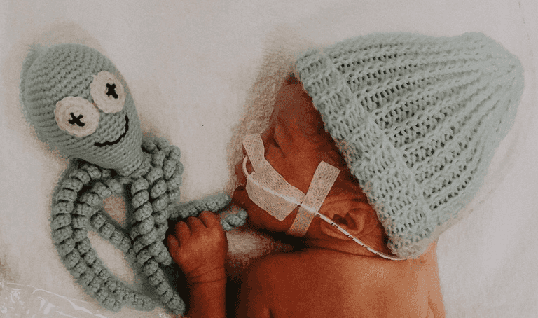 The heartwarming reason why premature babies are given octopus teddies The heartwarming reason why premature babies are given octopus teddies