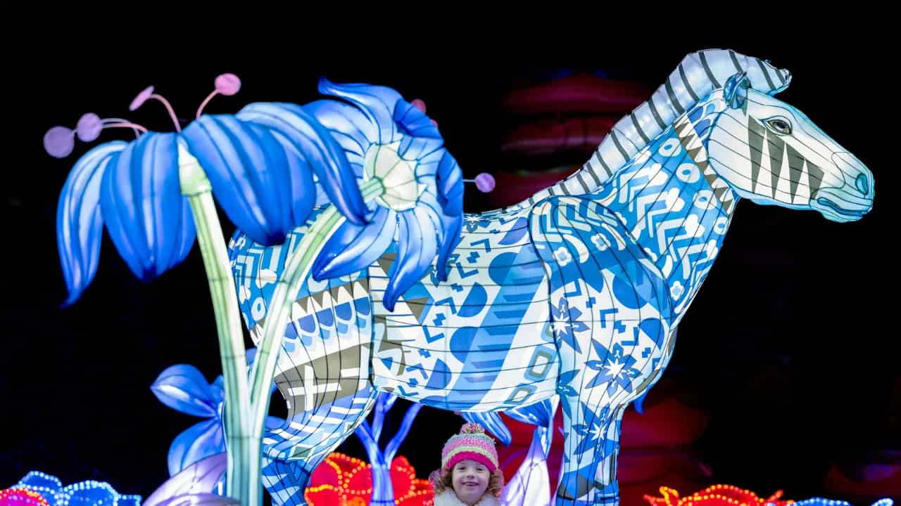 Dublin Zoo announces adult-only Wild Lights experience this Halloween