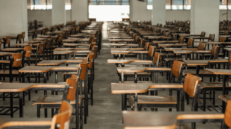 ‘Students are now choosing subjects to maximise CAO points, not out of interest’