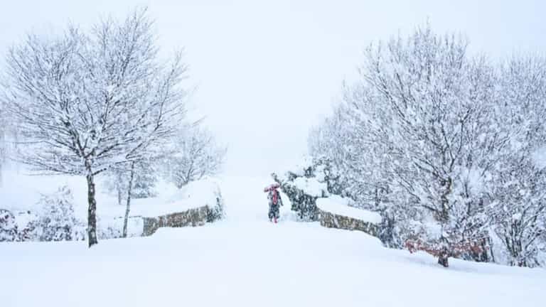 Several Irish counties hit with weather warning over snowstorm