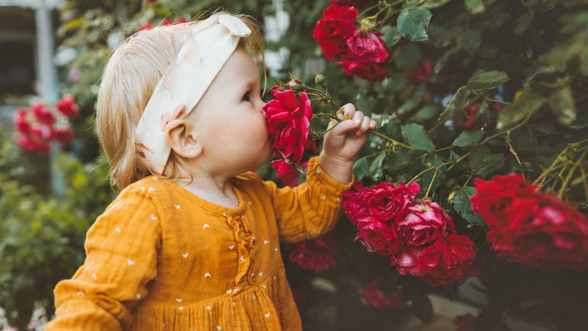 Most beautiful floral-inspired names perfect for spring babies