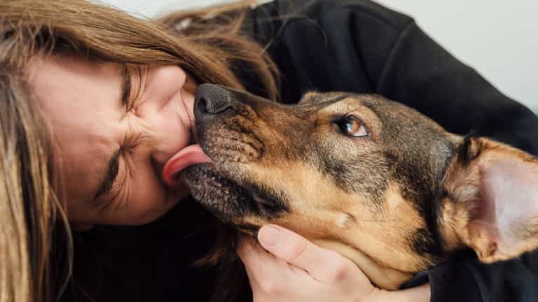 Vet reveals what your dog is really trying to tell you when they lick you