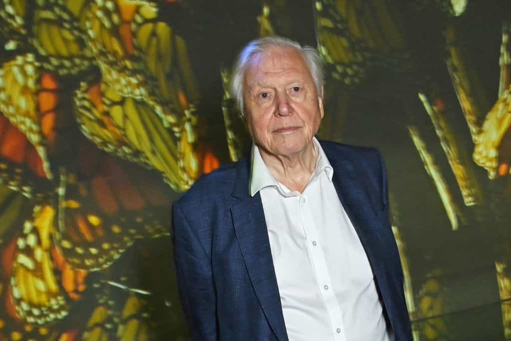 The one animal David Attenborough ‘hates’ as legendary environmentalist turns 100