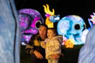 Dublin Zoo, Wild Lights