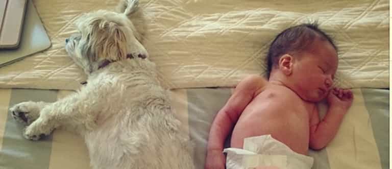 So Zot right now: The oddest celebrity baby names of 2015 (so far) So Zot right now: The oddest celebrity baby names of 2015 (so far)