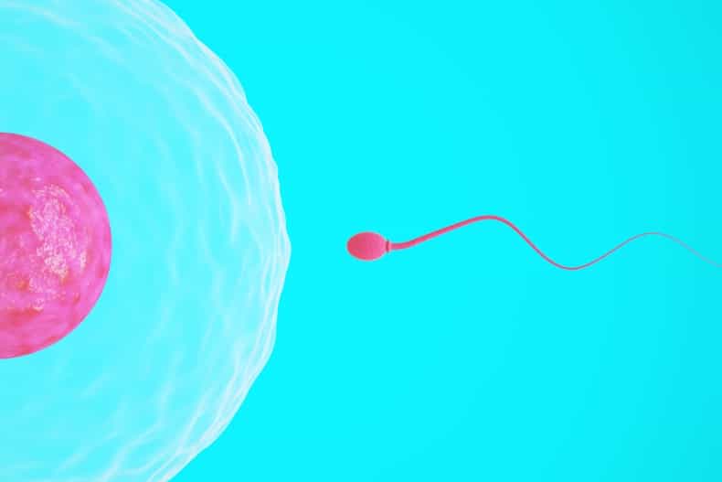 Would you get sperm from Facebook?