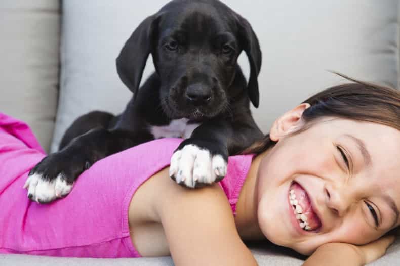 WATCH: 8 pissed off pets exact revenge on the kids who replaced them