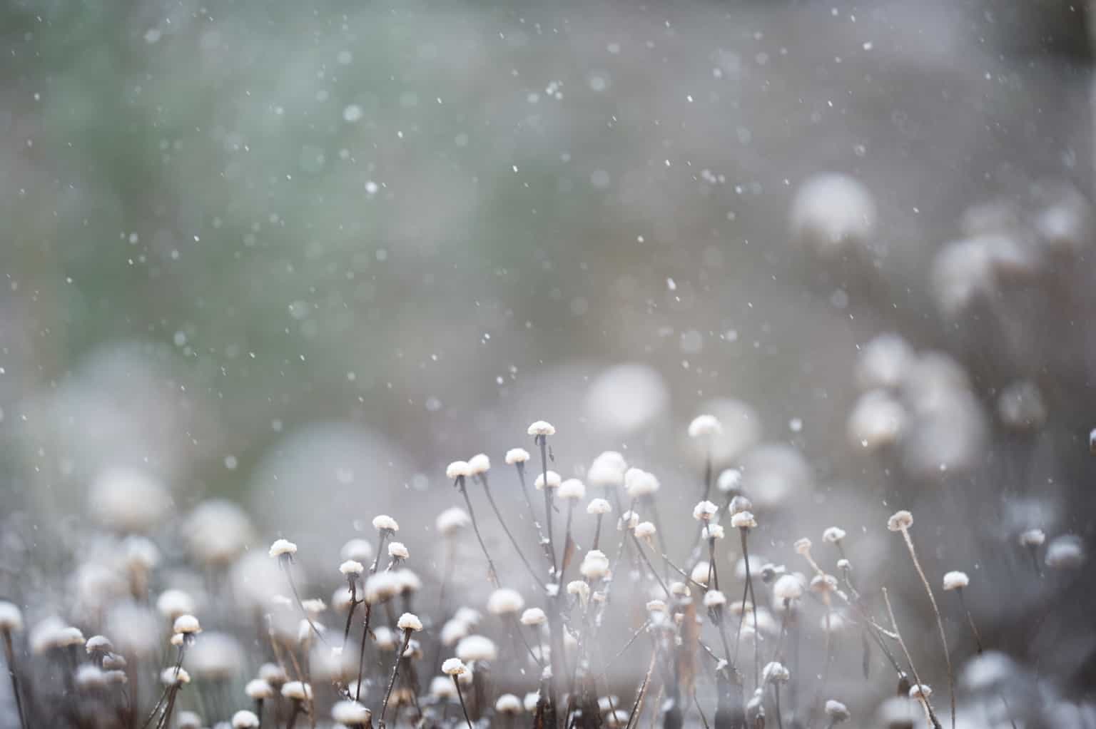 Nationwide weather warning announced as ice and snow expected