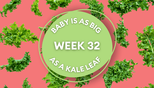 Your baby at 32 weeks pregnant: Week-by-week guide to development Your baby at 32 weeks pregnant: Week-by-week guide to development