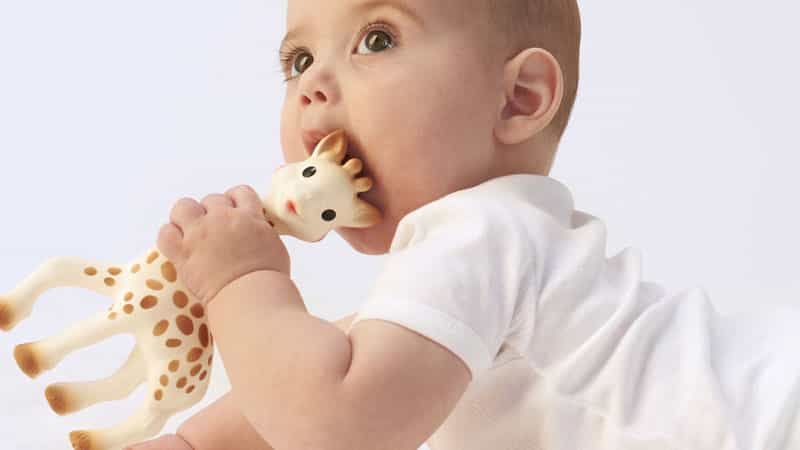 This Is What You All Had To Say About THAT Sophie La Girafe Story Today