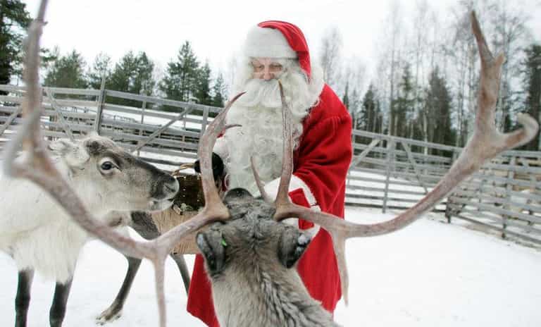 A reindeer was ‘shot at close range’ at Santa Experience in Wicklow A reindeer was ‘shot at close range’ at Santa Experience in Wicklow