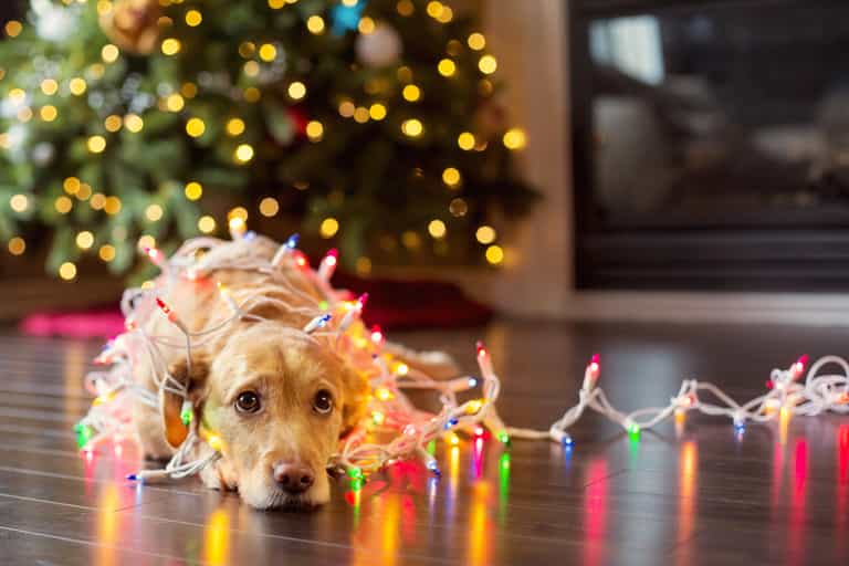 Bye bye January Blues! Here’s how you can nominate a friend for a New Year treat