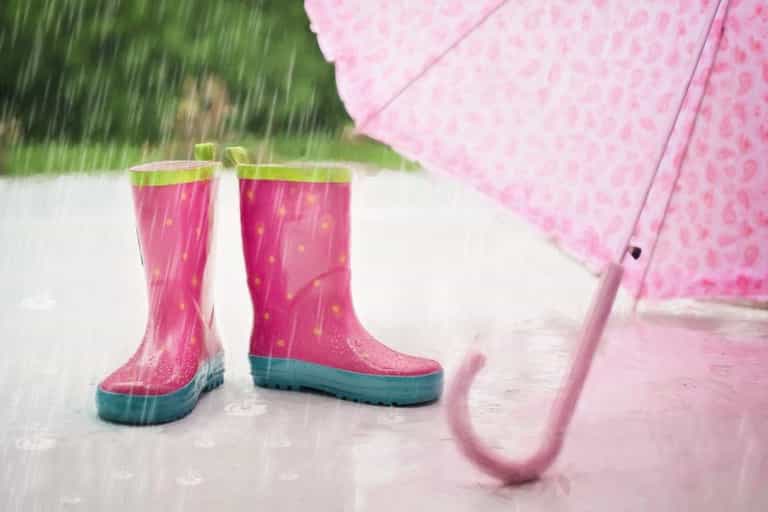 The latest weather report reveals we’re in for a wet and windy day The latest weather report reveals we’re in for a wet and windy day