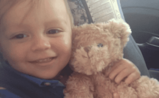Lost Teddy: Irish Rail appeal to the public to find Mr. Berkofsky Lost Teddy: Irish Rail appeal to the public to find Mr. Berkofsky