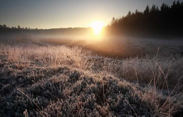 Temperatures to drop below freezing this weekend but it’s good news besides