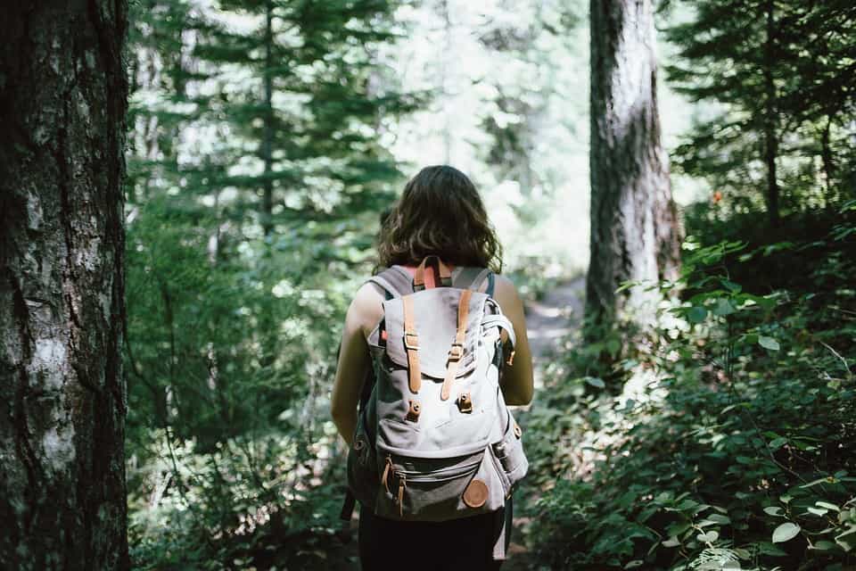 Dutch have a tradition where teens are left in the woods to find their way home