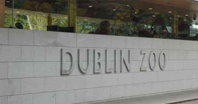 Dublin Zoo are offering half price on adult tickets until the end of 2019