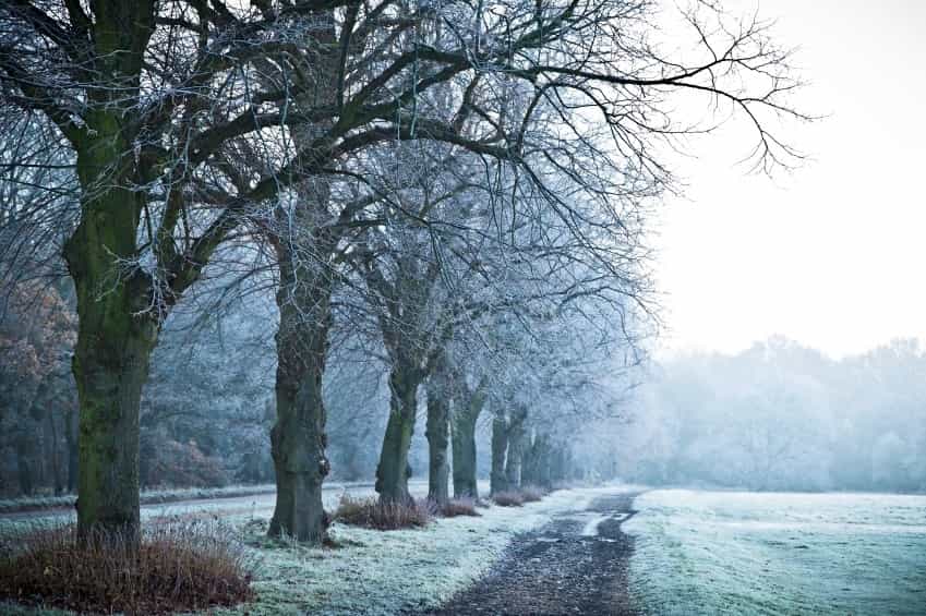According to Met Eireann, temperatures are set to drop as low as -1C this week