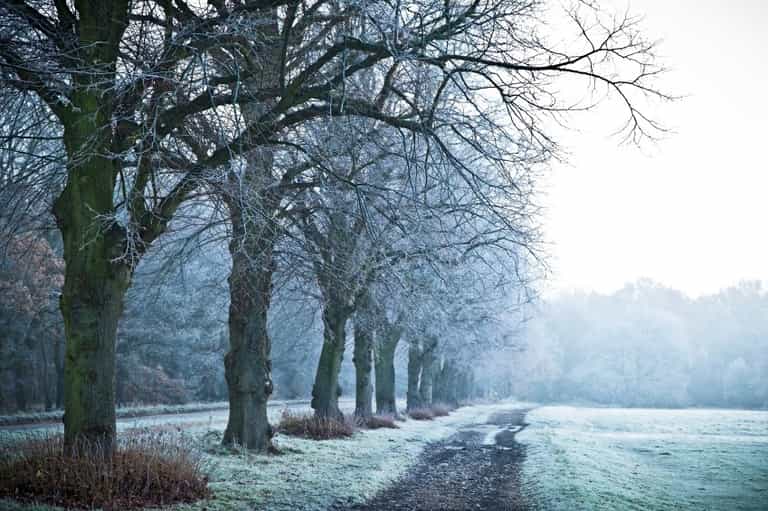 According to Met Eireann, temperatures are set to drop as low as -1C this week