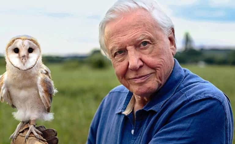 David Attenborough’s new documentary, Life in Colour is on Netflix now David Attenborough’s new documentary, Life in Colour is on Netflix now