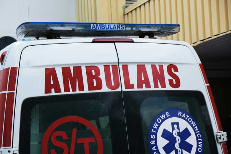 5-year-old Afghan refugee dies in Poland after eating mushrooms