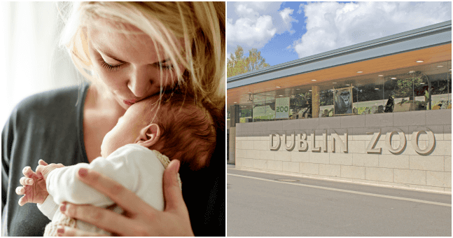 WIN: Tickets to the Pregnancy & Baby Fair, a Dublin Zoo family pass AND a hamper of baby essentials WIN: Tickets to the Pregnancy & Baby Fair, a Dublin Zoo family pass AND a hamper of baby essentials