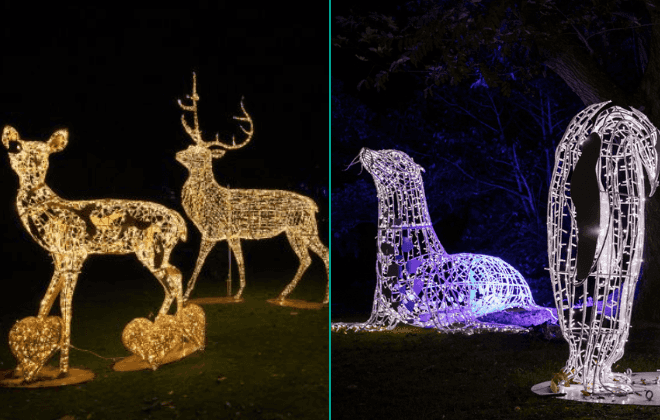 Wonderlights will return to Malahide Castle for ‘The Magic of Winter’ Wonderlights will return to Malahide Castle for ‘The Magic of Winter’
