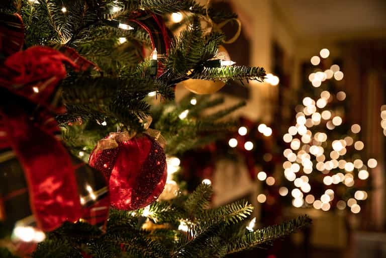 There’s a reason for the spare red bulb on your Christmas lights There’s a reason for the spare red bulb on your Christmas lights