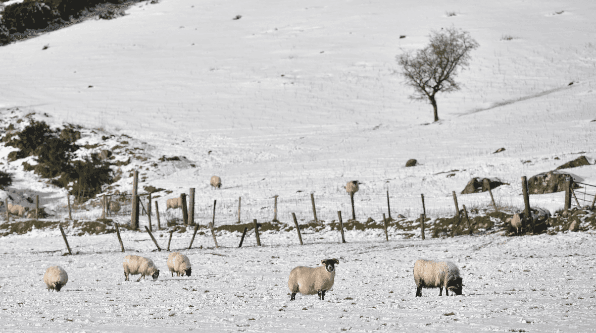Weather experts warn when Arctic blast could bring snow to Ireland