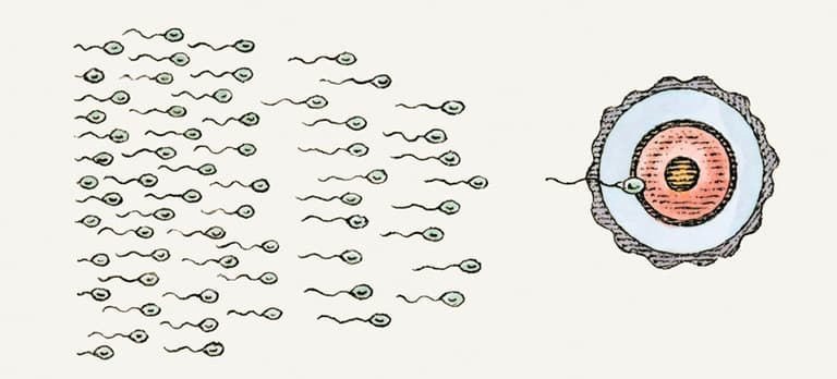 Sperm killers: 8 things that are hazardous to sperm health Sperm killers: 8 things that are hazardous to sperm health