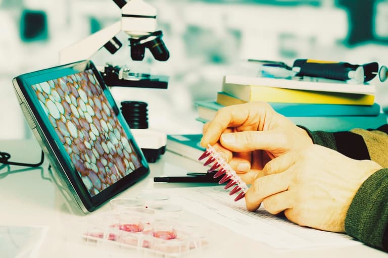 Malaria protein could be key to curing cancer for good