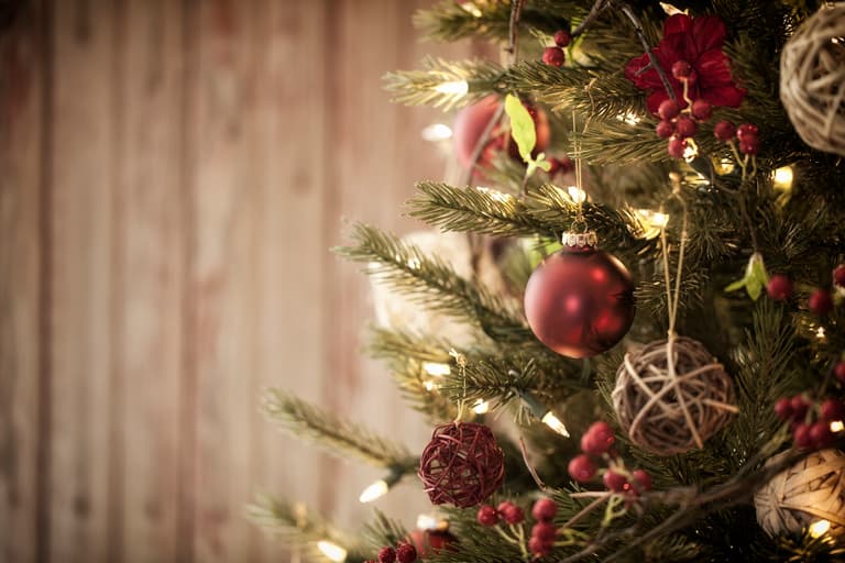 Woman asks strangers to “adopt” her and her son for Christmas
