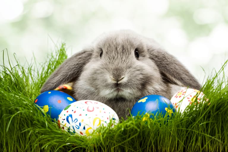 Discussions are happening to “fix” a date for Easter Discussions are happening to “fix” a date for Easter