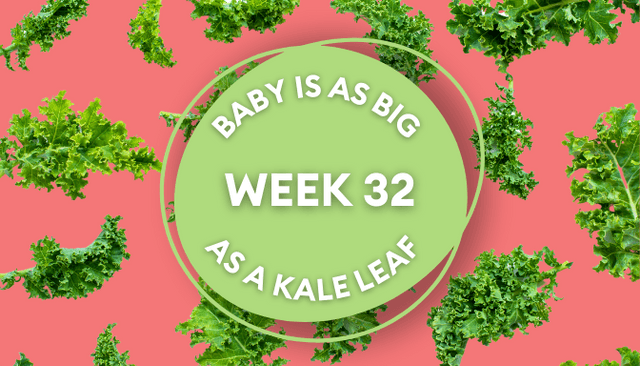 Your baby at 32 weeks pregnant: Week-by-week guide to development Your baby at 32 weeks pregnant: Week-by-week guide to development