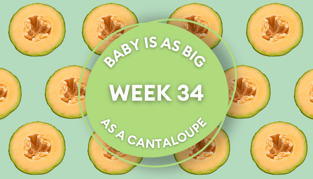 Your baby at 34 weeks pregnant: Week-by-week guide to development
