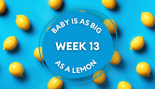 Your baby at 13 weeks pregnant: Week-by-week guide to development