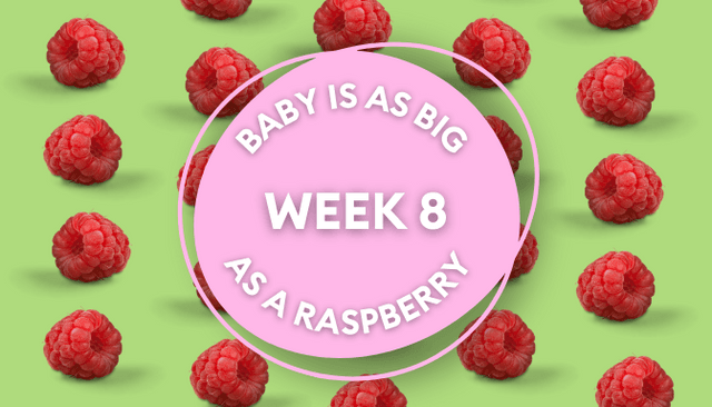 Your baby at 8 weeks: Week-by-week guide to pregnancy and development