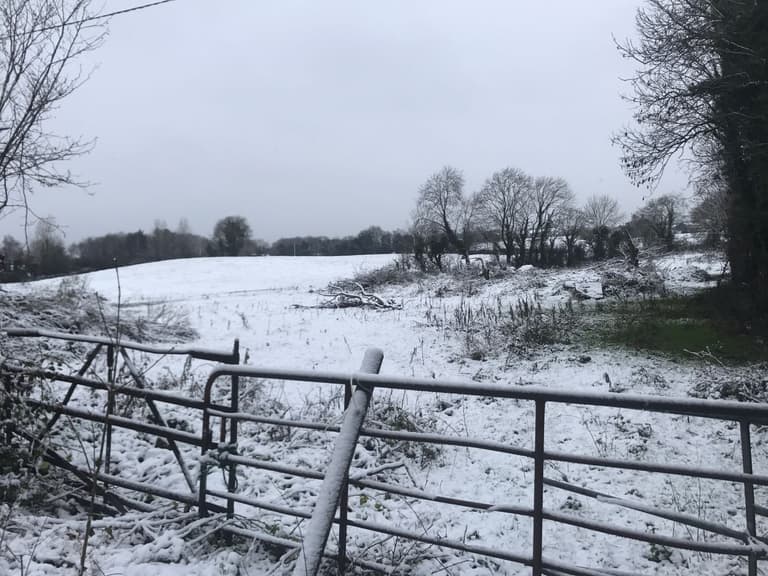 #Sneachta! People are going stone mad for the snow this weekend