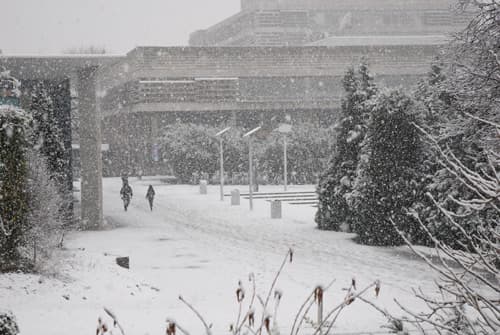 Colleges and universities issue notices about closure times today Colleges and universities issue notices about closure times today