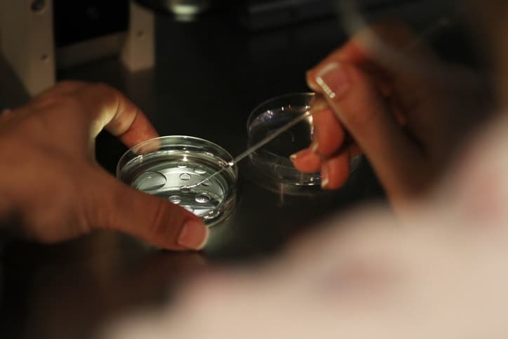 Concerns expressed over the viability of human eggs grown in lab